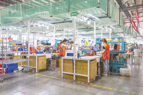 守護國門安全，賦能經濟發展 中國海關監管貨物進出口27億噸、征稅超萬億