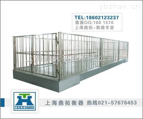 精準稱重，科學養殖 家禽牲畜電子秤的應用與選型指南