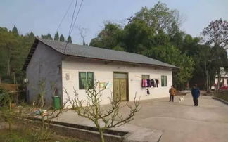 共建清潔家園，共享美好生活——大足區農村生活垃圾與家禽牲畜管理倡議書