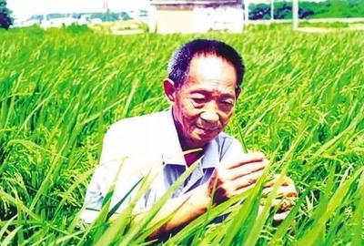 軍力與豬肉的秘密關(guān)系 大炮與黃油的工業(yè)雙面性